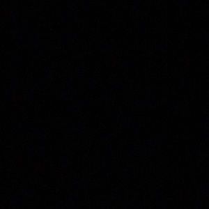 Meet your Posher, Sienna